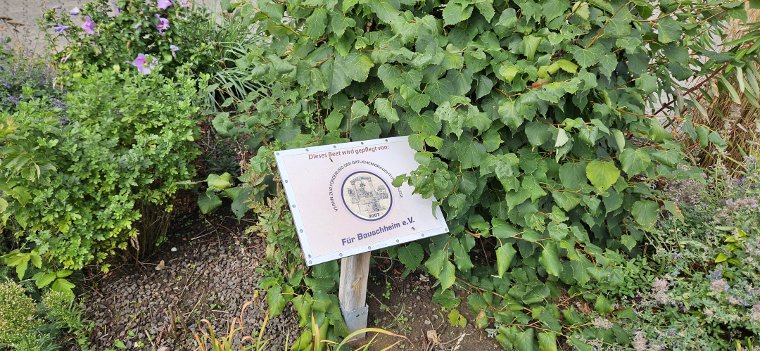 Beetpflege in der Brunnenstraße